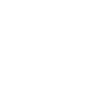 logo_missmerivintage