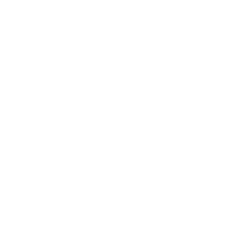 logo_missmerivintage
